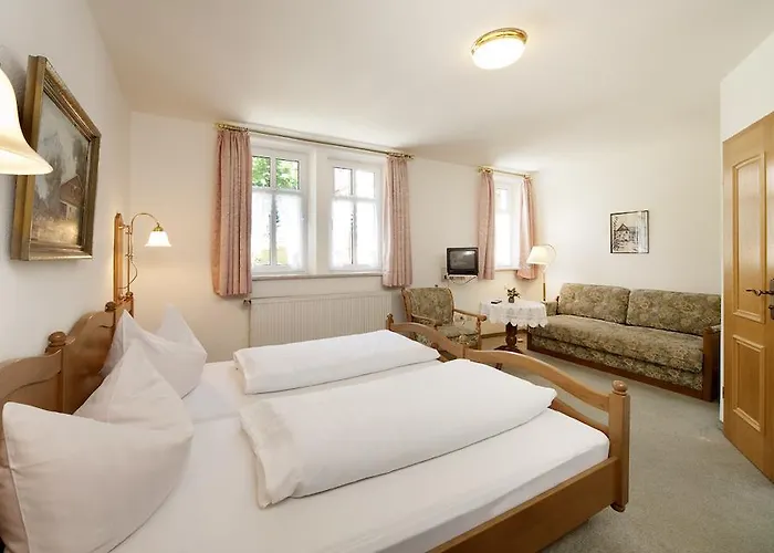 Hotel Waldgasthof Wildbad 4*