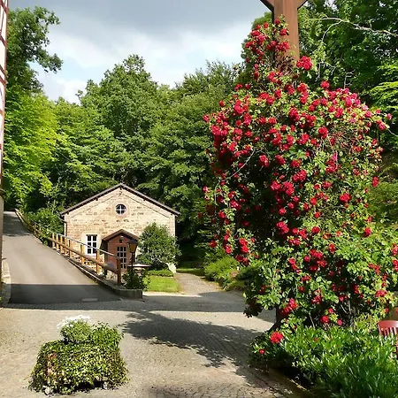 Отель Waldgasthof Wildbad 4*